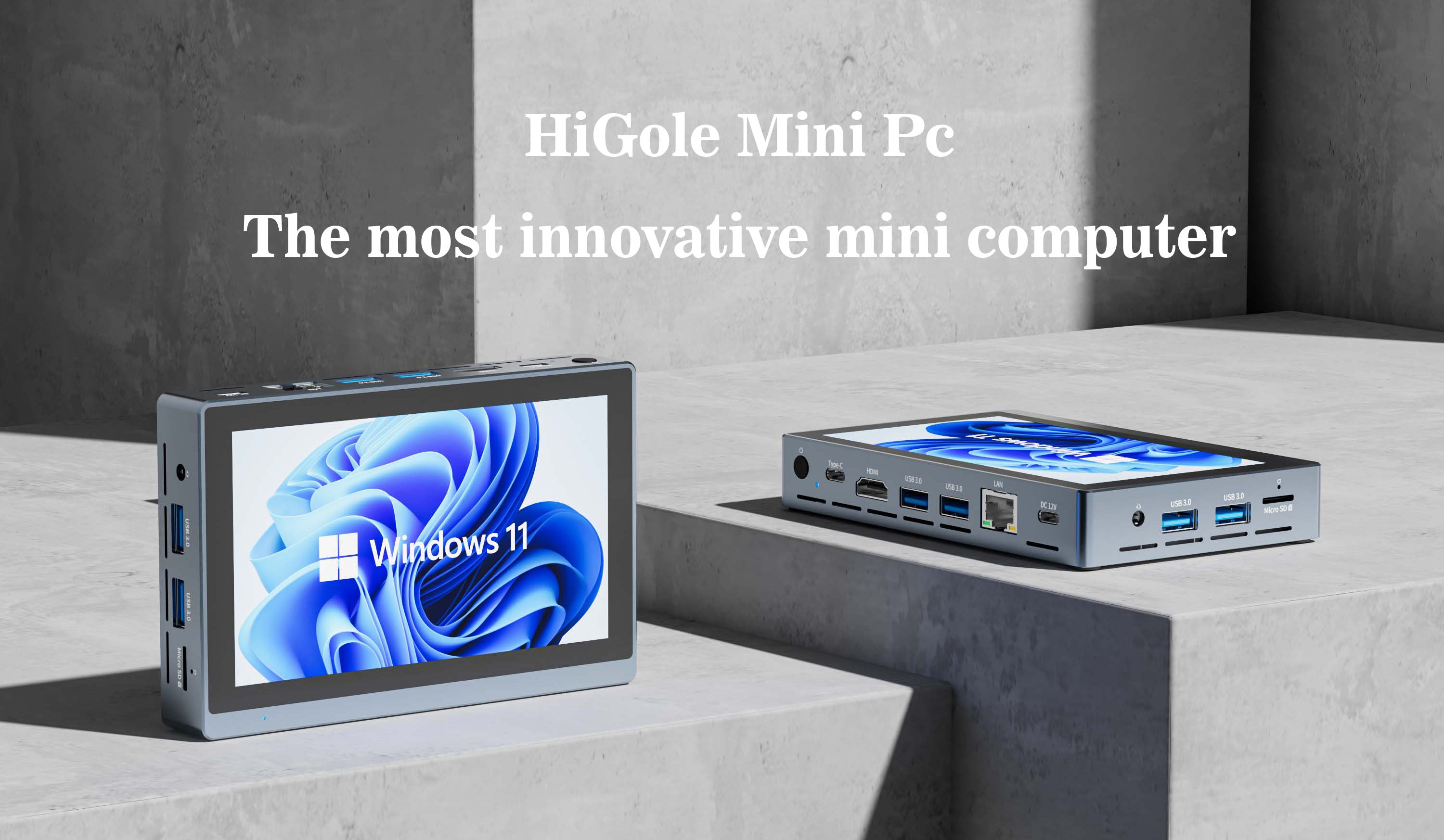 HigolePC ミニPC 10.1型 Windows 11 Pro Mini PC インテル
